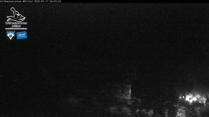 Blick Talaufwärts 2 2025-05-17 04:00