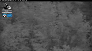 Blick Talaufwärts 2 2025-05-17 05:00