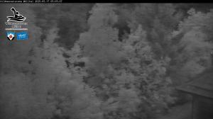 Blick Talaufwärts 2 2025-05-17 05:00