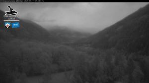 Blick Talaufwärts 2 2025-05-17 05:00