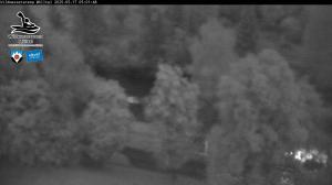 Blick Talaufwärts 2 2025-05-17 05:00
