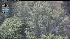 Blick Talaufwärts 2 2025-05-17 06:00
