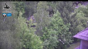 Blick Talaufwärts 2 2025-05-17 06:00