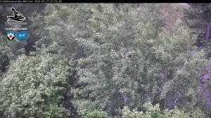 Blick Talaufwärts 2 2025-05-17 07:00