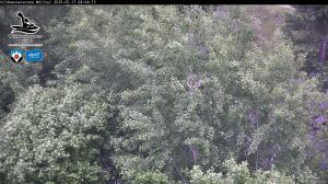 Blick Talaufwärts 2 2025-05-17 08:00