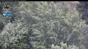 Blick Talaufwärts 2 2025-05-17 09:00