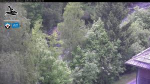 Blick Talaufwärts 2 2025-05-17 09:00