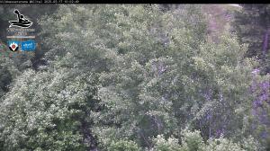 Blick Talaufwärts 2 2025-05-17 10:00