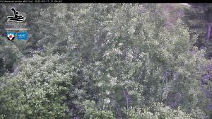 Blick Talaufwärts 2 2025-05-17 11:00