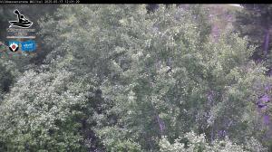 Blick Talaufwärts 2 2025-05-17 12:00