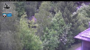 Blick Talaufwärts 2 2025-05-17 12:00