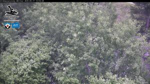 Blick Talaufwärts 2 2025-05-17 13:00