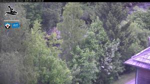 Blick Talaufwärts 2 2025-05-17 13:00