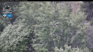 Blick Talaufwärts 2 2025-05-17 15:00