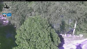 Blick Talaufwärts 2 2025-05-17 17:00
