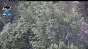 Blick Talaufwärts 2 2025-05-17 18:00