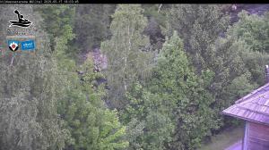 Blick Talaufwärts 2 2025-05-17 18:00