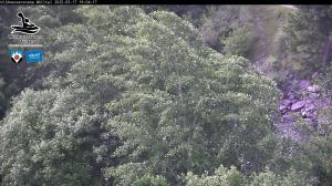 Blick Talaufwärts 2 2025-05-17 19:00