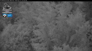 Blick Talaufwärts 2 2025-05-17 21:00