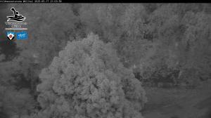 Blick Talaufwärts 2 2025-05-17 21:00