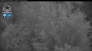 Blick Talaufwärts 2 2025-05-18 05:00