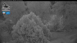 Blick Talaufwärts 2 2025-05-18 05:00