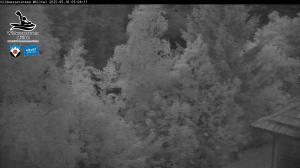 Blick Talaufwärts 2 2025-05-18 05:00