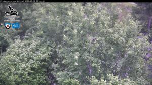 Blick Talaufwärts 2 2025-05-18 06:00