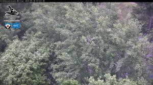 Blick Talaufwärts 2 2025-05-18 07:00
