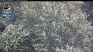 Blick Talaufwärts 2 2025-05-18 08:00