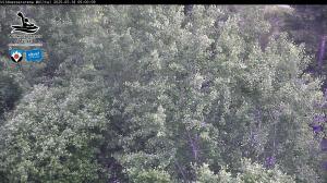 Blick Talaufwärts 2 2025-05-18 09:00