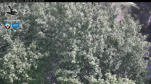 Blick Talaufwärts 2 2025-05-18 10:00