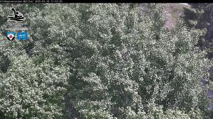 Blick Talaufwärts 2 2025-05-18 11:00
