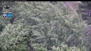 Blick Talaufwärts 2 2025-05-18 12:00