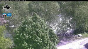 Blick Talaufwärts 2 2025-05-18 12:00