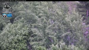 Blick Talaufwärts 2 2025-05-18 13:00
