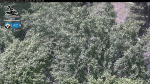 Blick Talaufwärts 2 2025-05-18 14:00