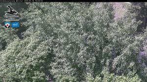 Blick Talaufwärts 2 2025-05-18 15:00