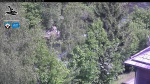 Blick Talaufwärts 2 2025-05-18 15:00