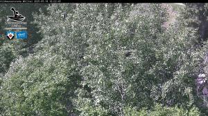 Blick Talaufwärts 2 2025-05-18 16:00