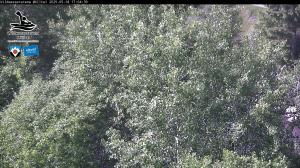 Blick Talaufwärts 2 2025-05-18 17:00