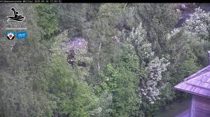 Blick Talaufwärts 2 2025-05-18 17:00