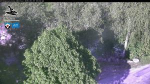 Blick Talaufwärts 2 2025-05-18 18:00