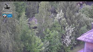 Blick Talaufwärts 2 2025-05-18 19:00