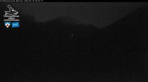 Blick Talaufwärts 2 2025-05-19 04:00