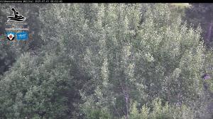 Blick Talaufwärts 2 2025-07-01 06:00