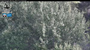 Blick Talaufwärts 2 2025-07-01 09:00