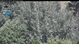 Blick Talaufwärts 2 2025-07-01 12:00
