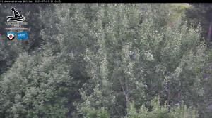 Blick Talaufwärts 2 2025-07-01 21:00