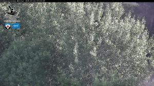 Blick Talaufwärts 2 2025-07-02 07:00